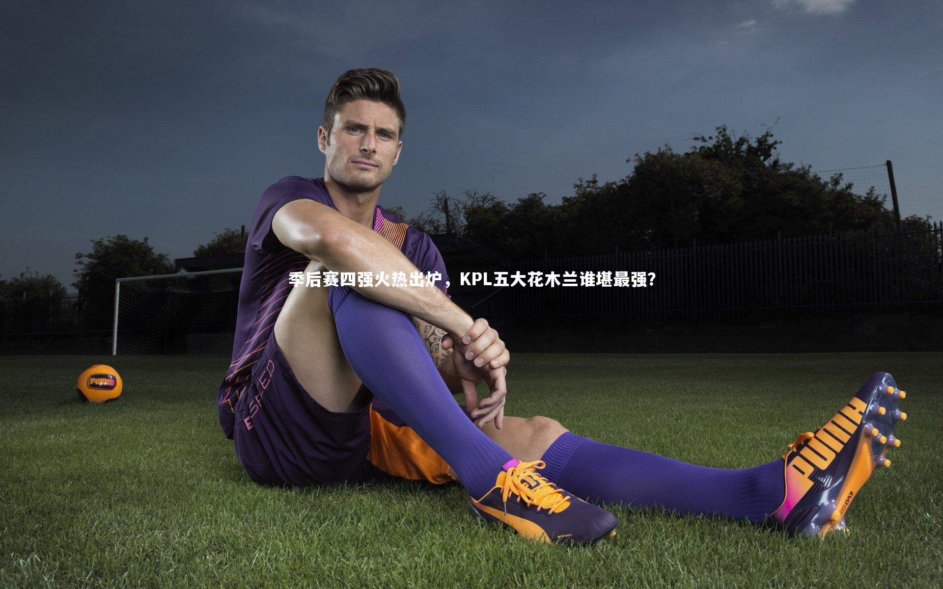 开云官网登录入口-季后赛四强火热出炉，KPL五大花木兰谁堪最强？