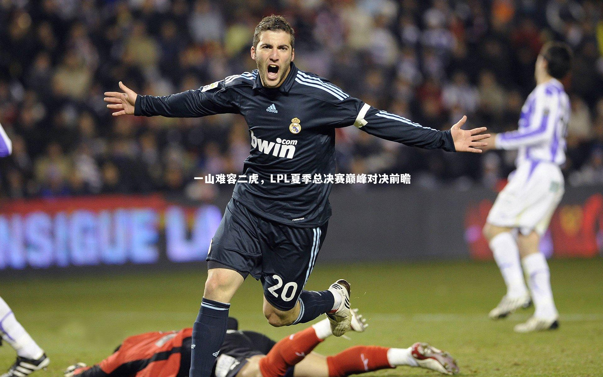 【开云体育下载】一山难容二虎，LPL夏季总决赛巅峰对决前瞻