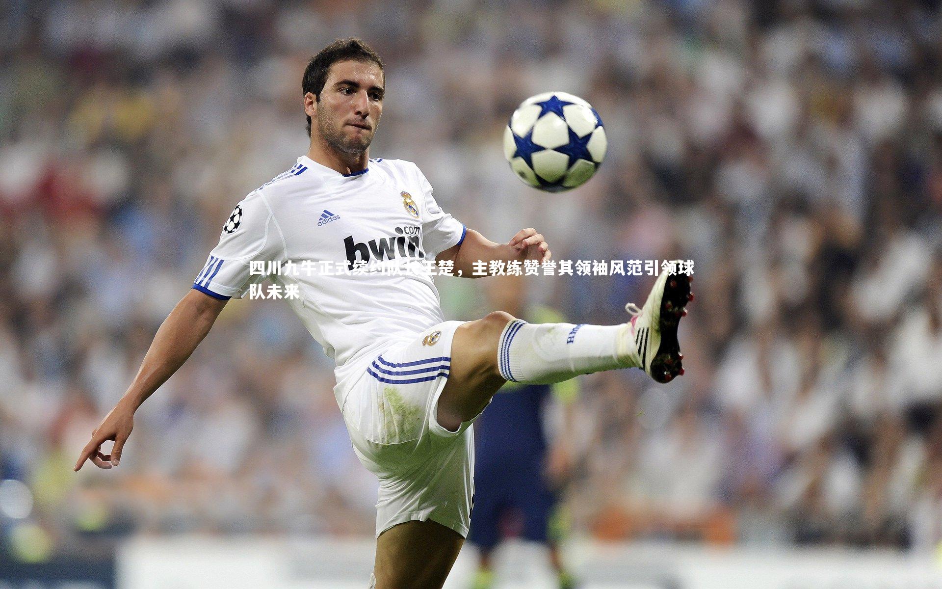 四川九牛正式续约队长王楚，主教练赞誉其领袖风范引领球队未来